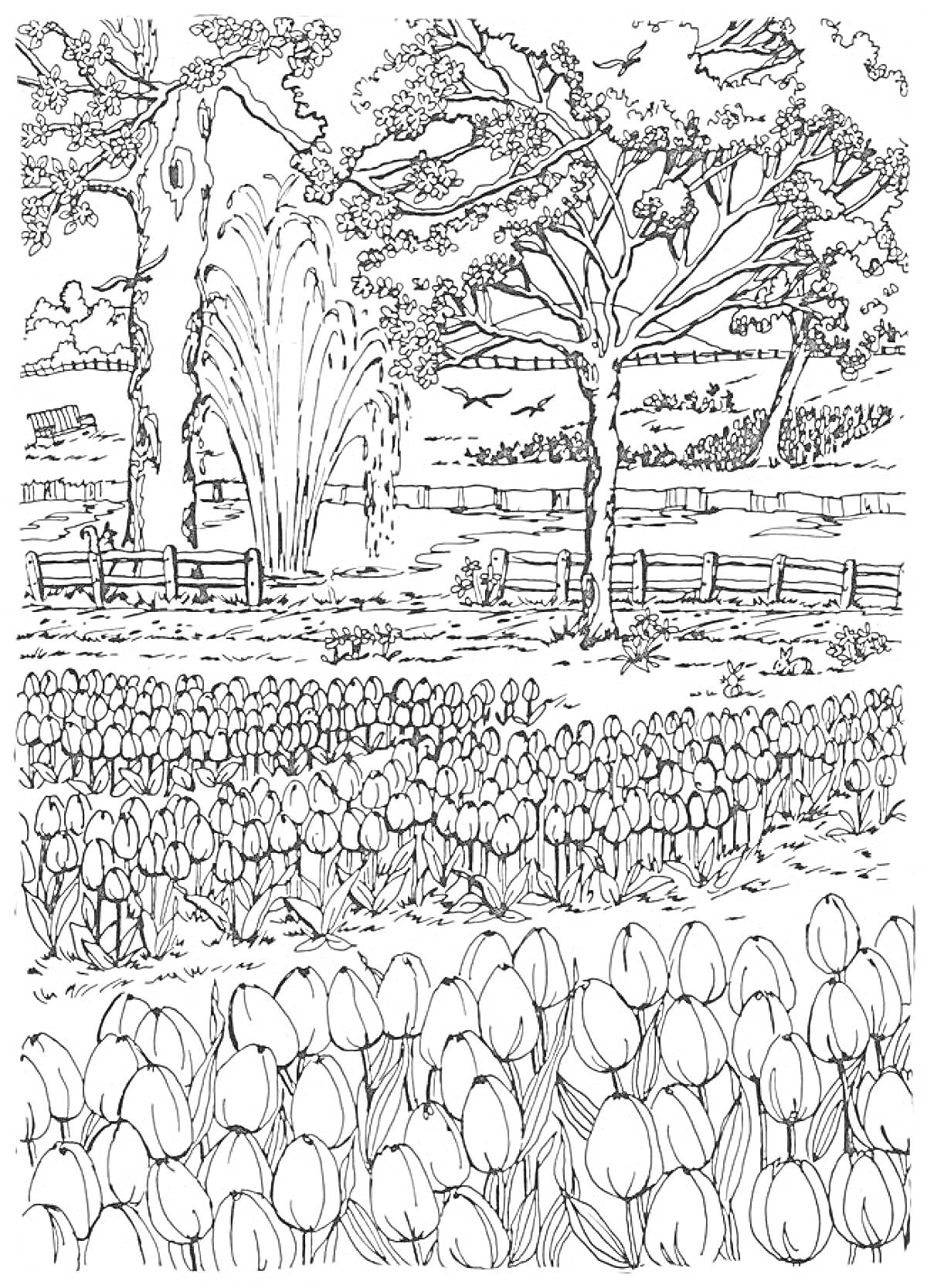 Раскраска Поле тюльпанов с фонтаном на фоне парка, деревья и ограда