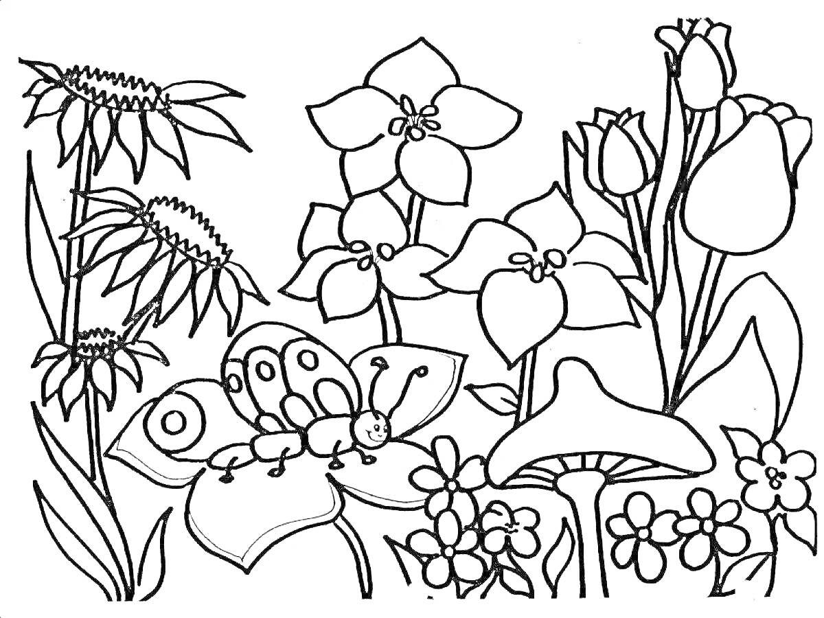 На раскраске изображено: Цветы, Бабочка, Поляна, Растения, Грибы