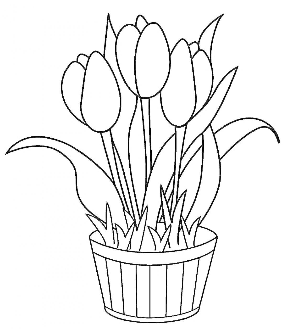 На раскраске изображено: Цветы, Тюльпаны, Листья, Для детей, Ботаника, Растения