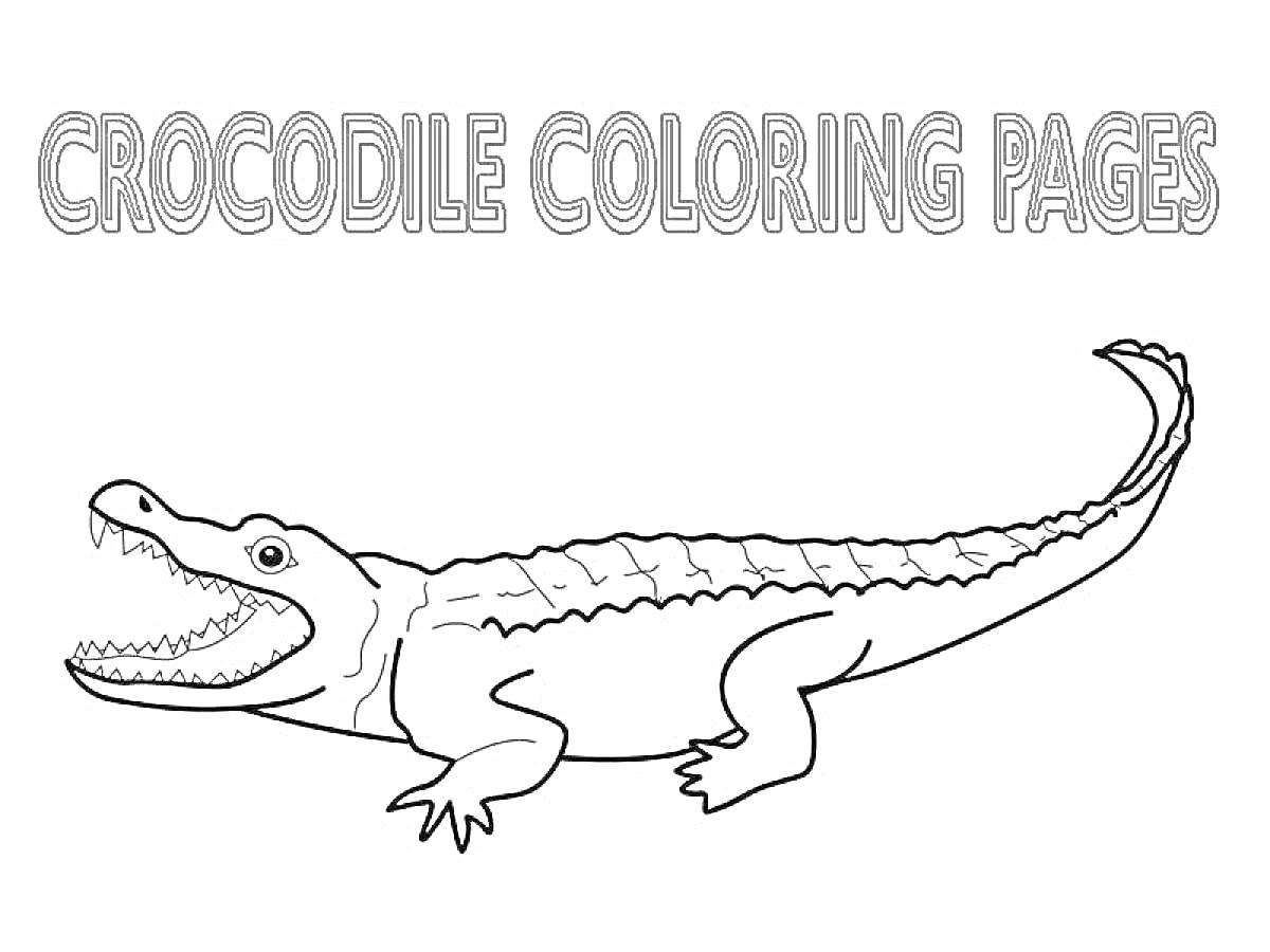 На раскраске изображено: Крокодил, Открытая пасть, Для детей, Животные, Контурные рисунки, Рептилии