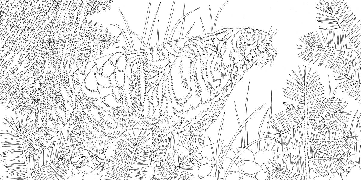 Раскраска Лесной тигр среди растительности, с деталями тигра, деревьев, листвы и травы