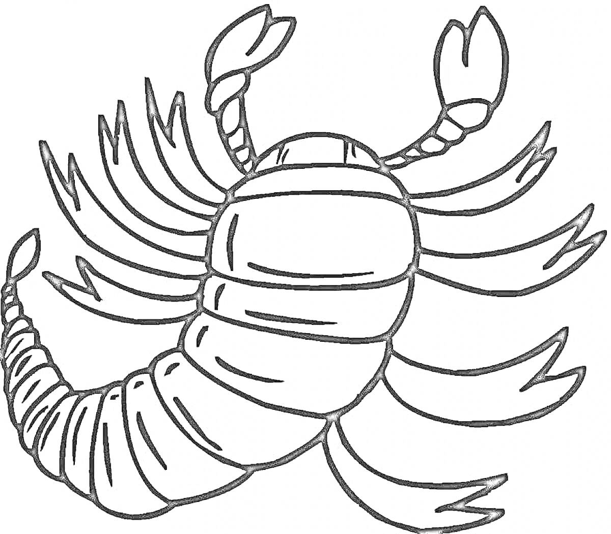 Раскраска Скорпион с клешнями и изогнутым хвостом