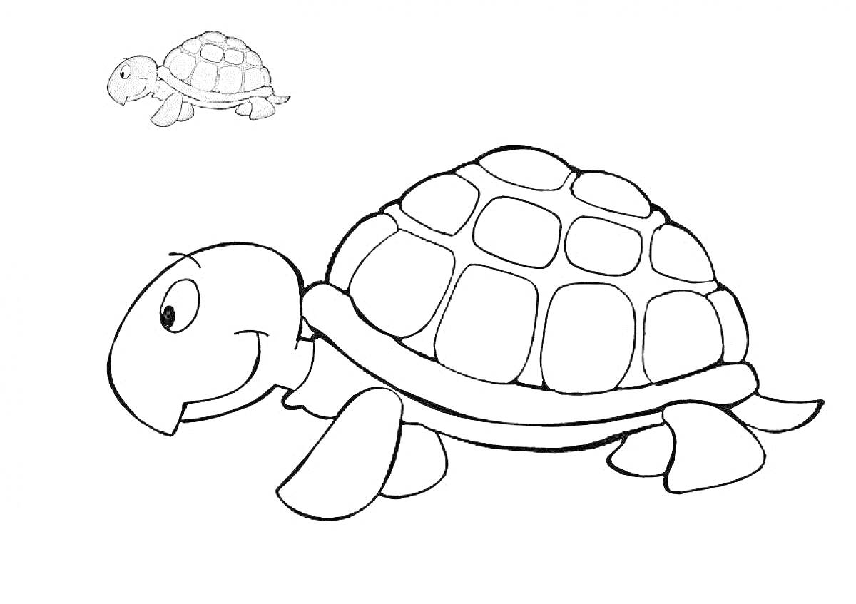 На раскраске изображено: Для детей, Животные, Морская черепаха, Черепаха