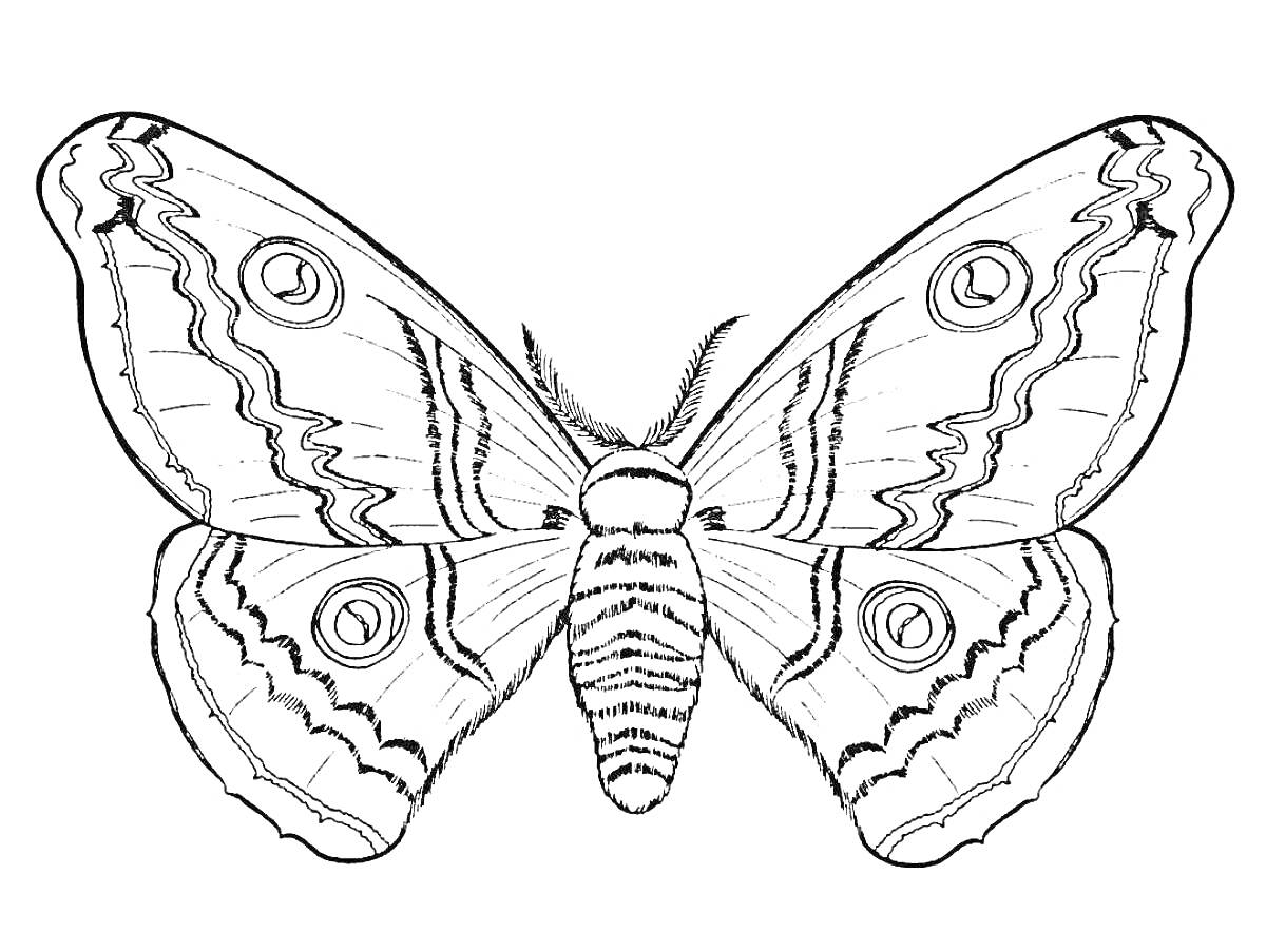 Бабочка с узорными крыльями, пятью круглыми элементами и полосатым телом