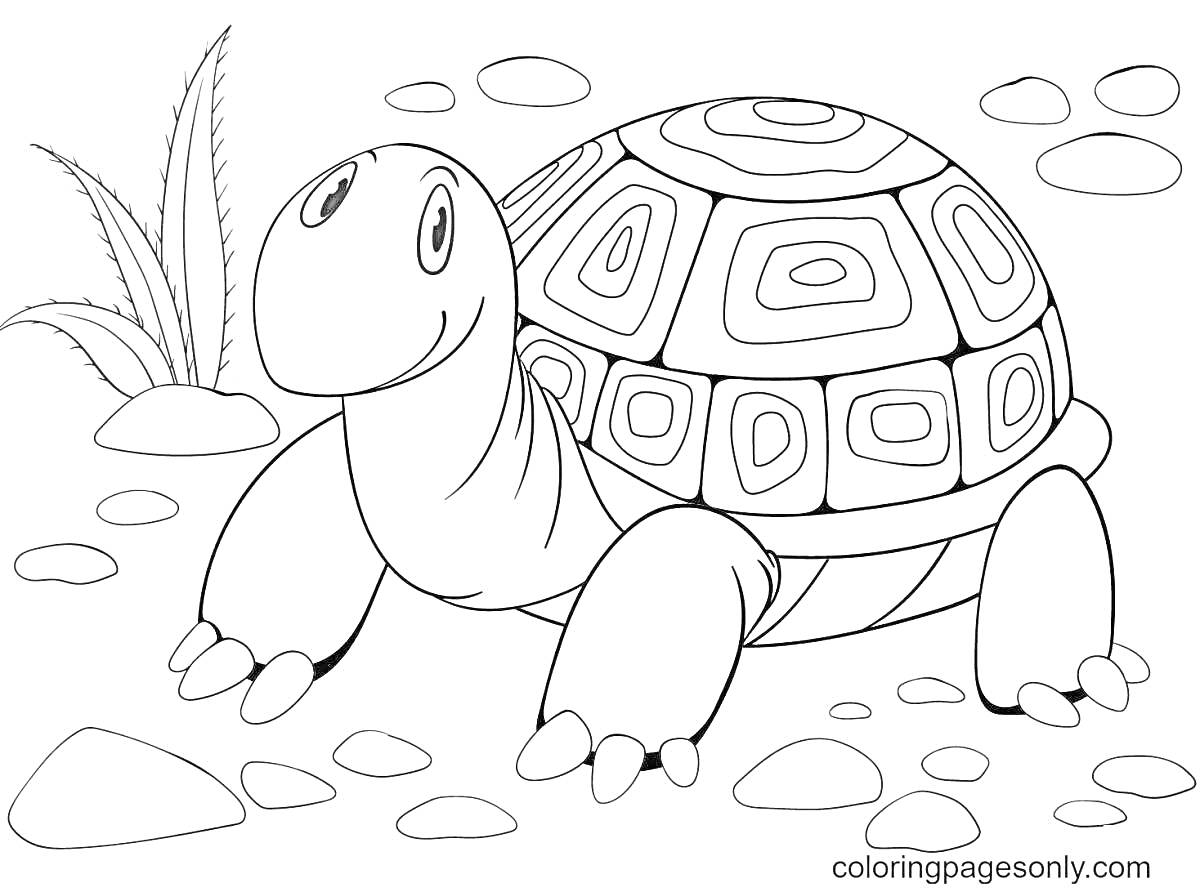 Раскраска черепаха с орнаментом на панцире, листья, камни