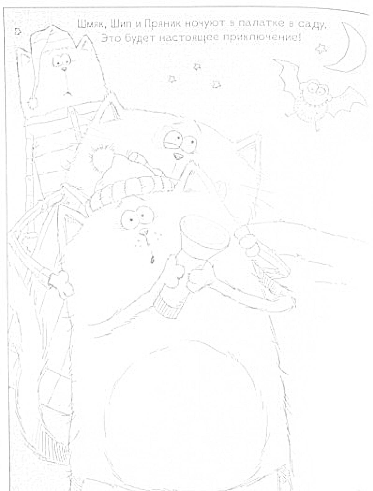 Раскраска Шмяк, Шип и Пряник ночью в палатке в саду, с фонариком, летучая мышь, луна и звезды