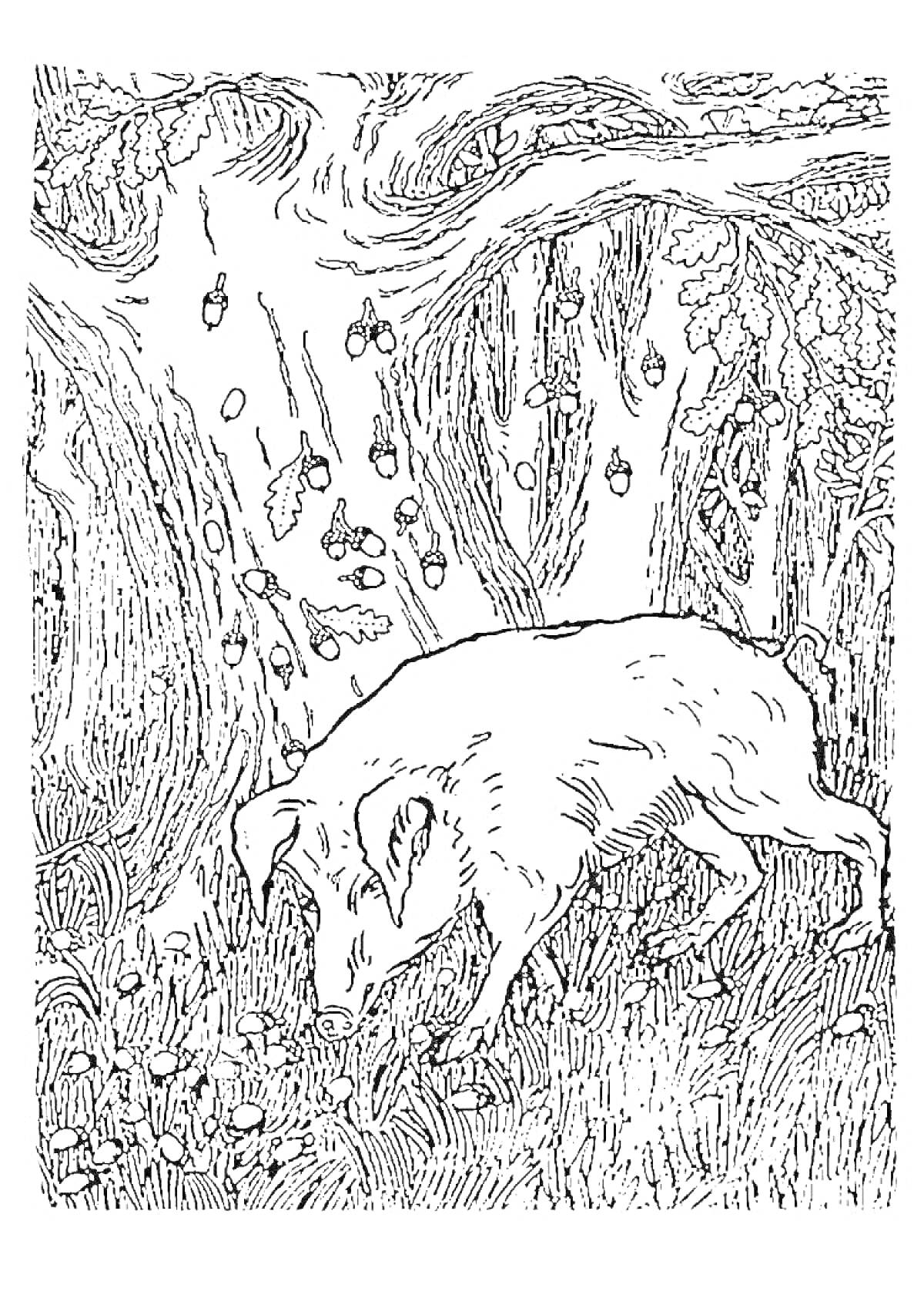 Раскраска Свинья под дубом с желудями и грибами