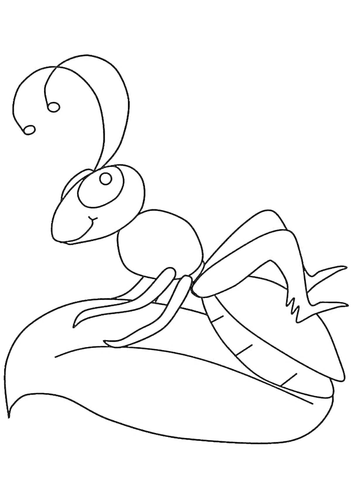 Раскраска Муравей на листе