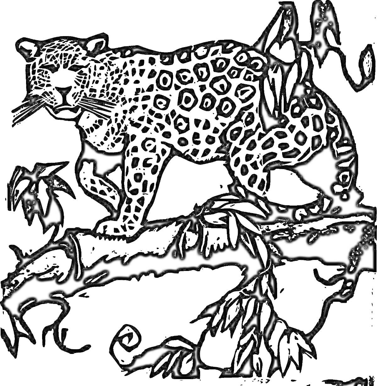 Раскраска Ягуар на ветке с лианами и листьями