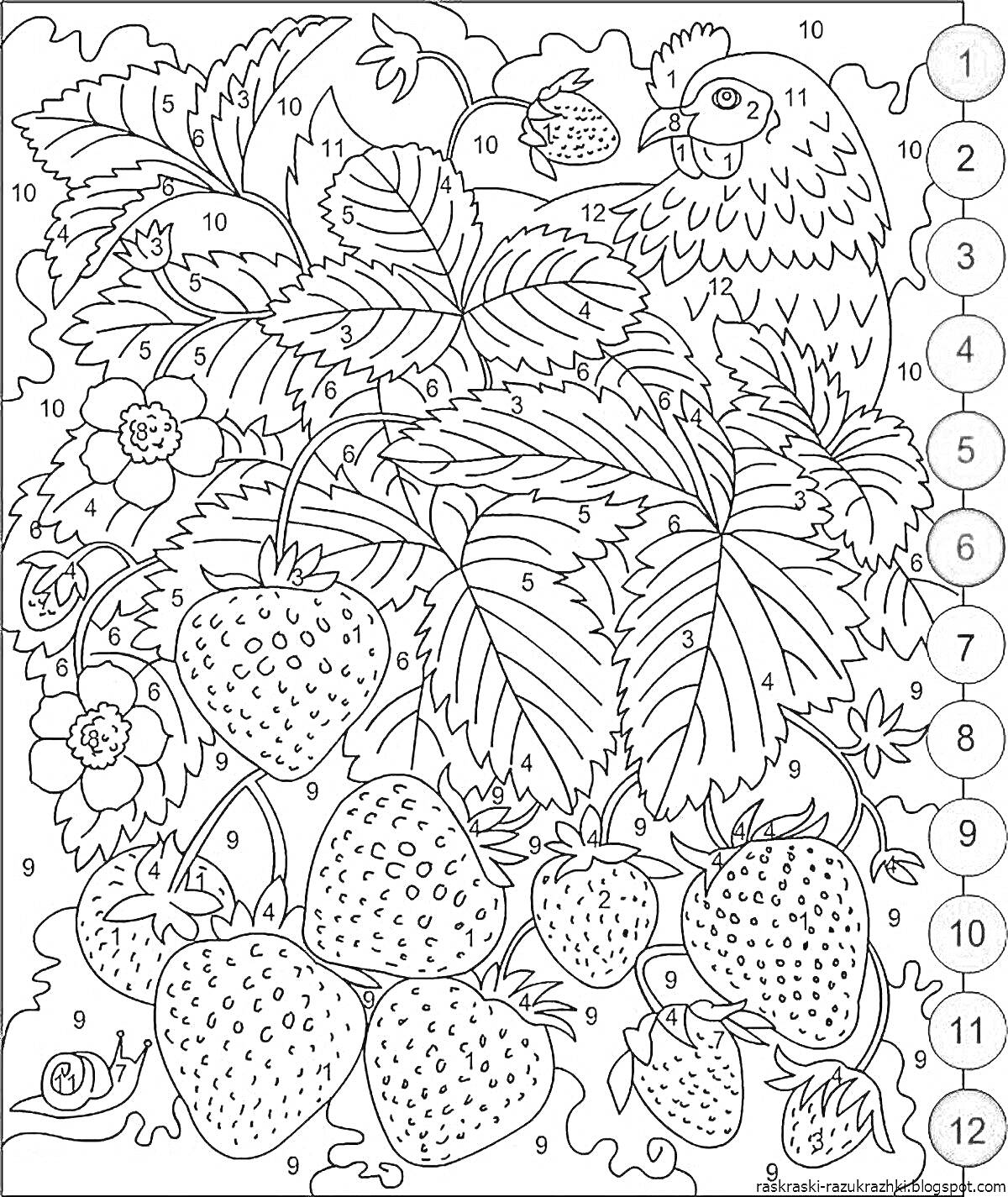 Раскраска Раскраска по номерам с клубникой, цветами и птицей