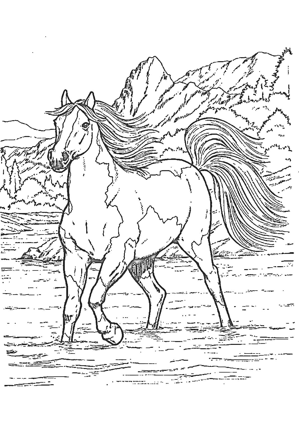 Раскраска Лошадь на фоне гор и леса