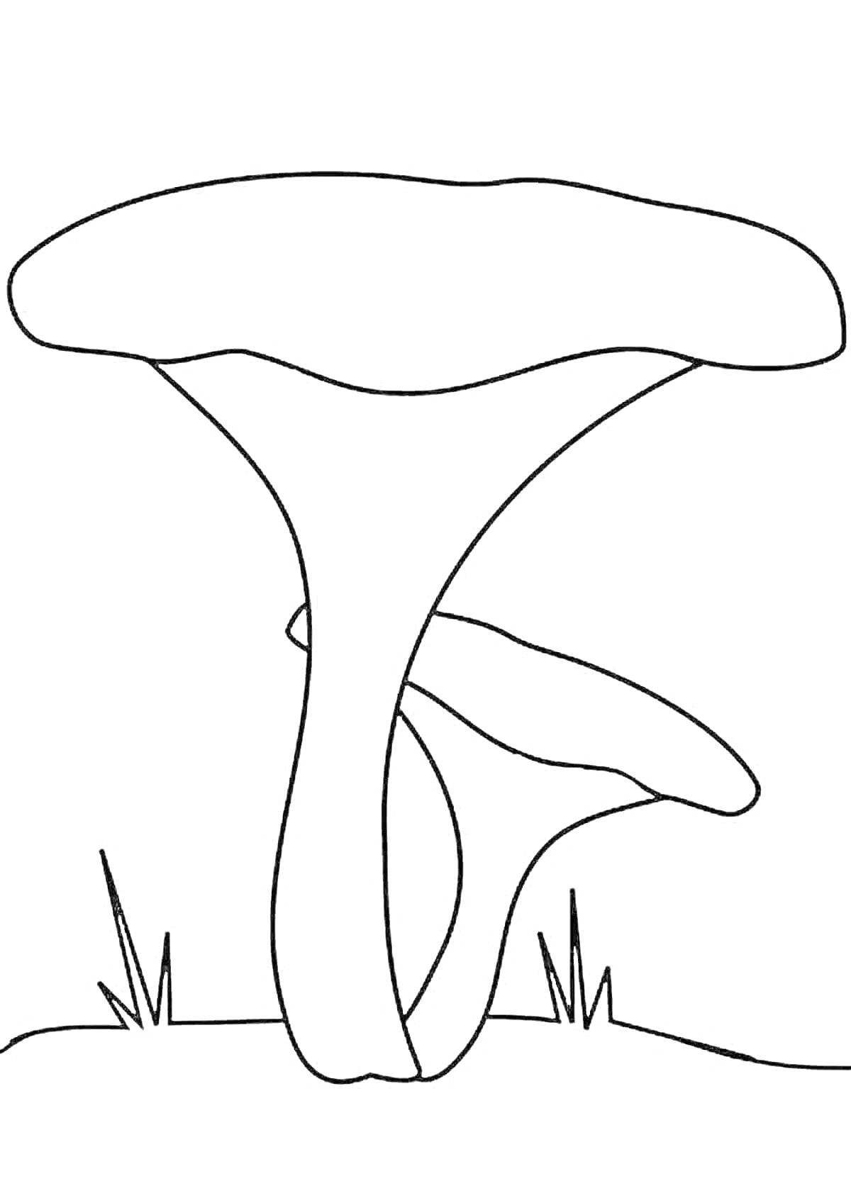 На раскраске изображено: Груздь, Грибы, Два гриба, Трава, Земля