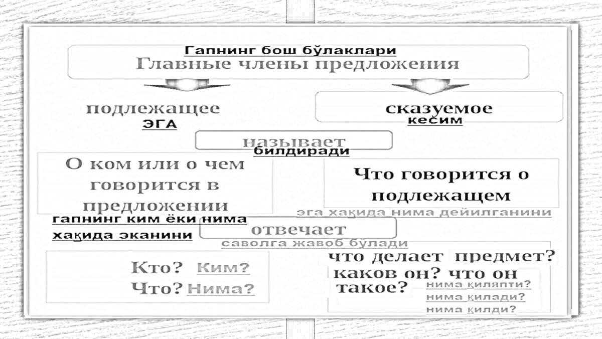 Раскраска Главные члены предложения: подлежащее и сказуемое. О ком или о чем говорится в предложении? Кто? Кому? Чего? Никакого? Что делает предмет? Каков он? Может занимать.