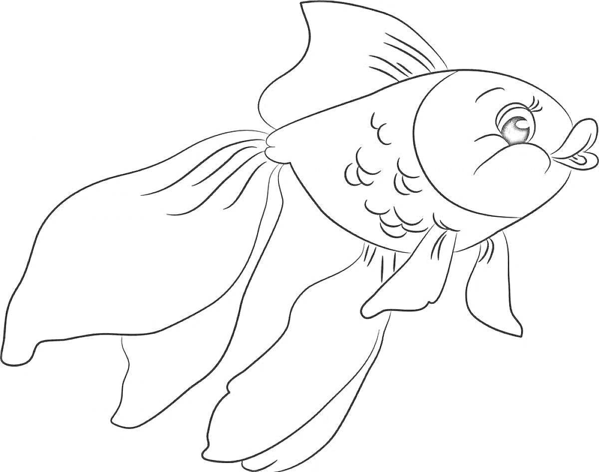 На раскраске изображено: Рыба, Золотая рыбка, Плавники, Второй класс
