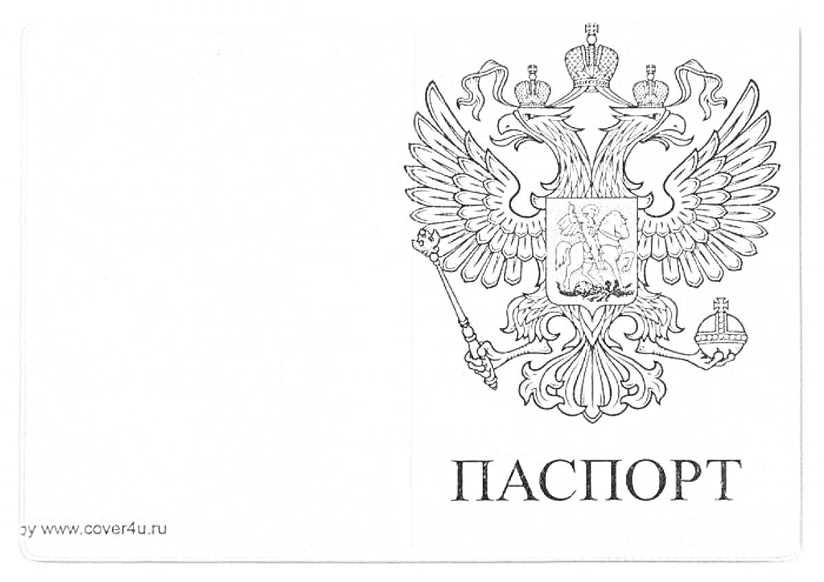 На раскраске изображено: Паспорт, Россия, Надпись