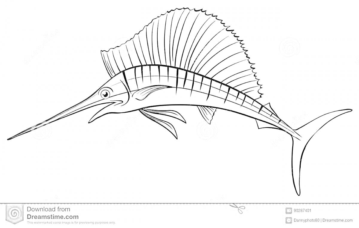 Раскраска Раскраска - Рыба парусник с большим спинным плавником и длинным рылом
