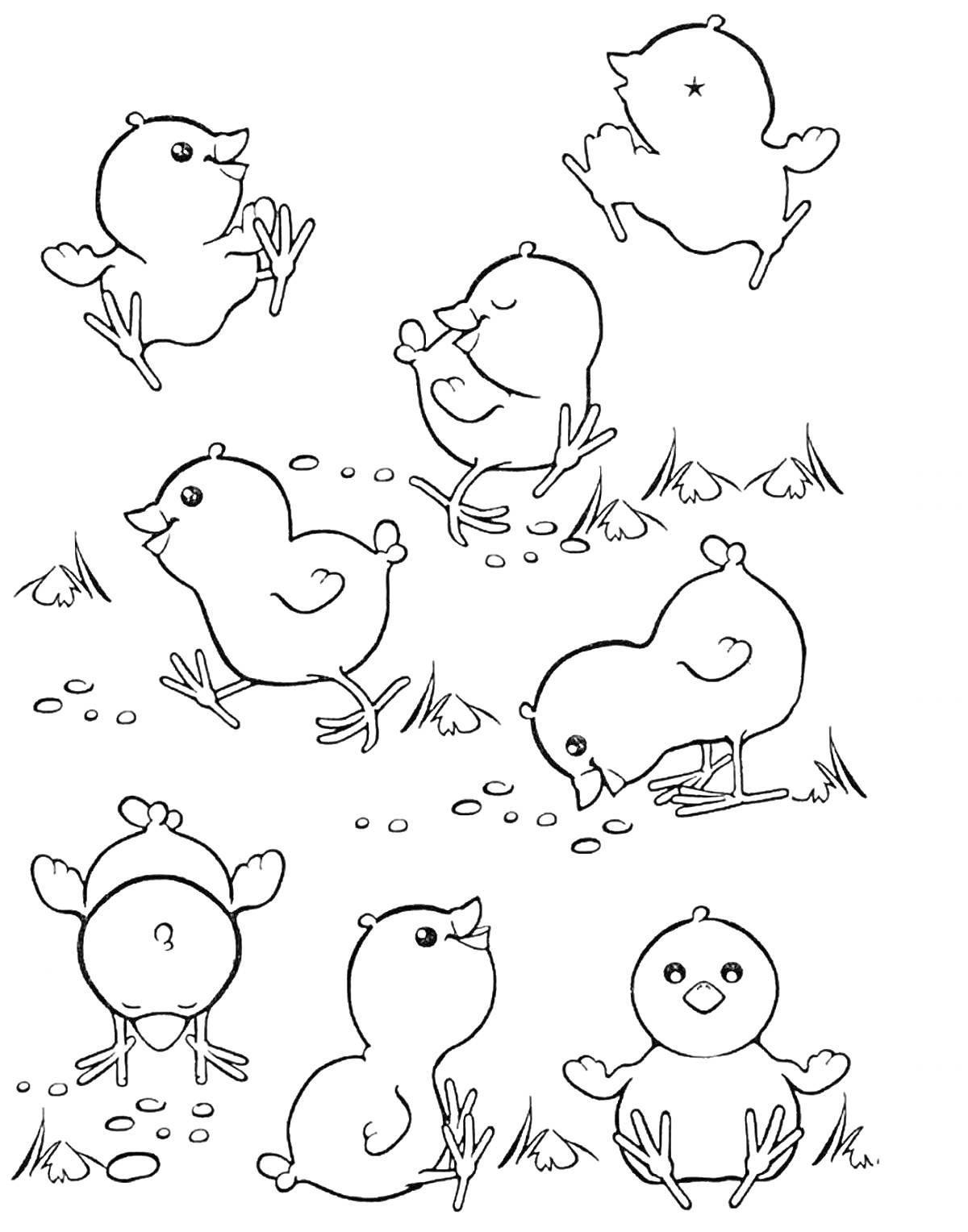 Раскраска Семь цыплят, гуляющих и играющих на траве