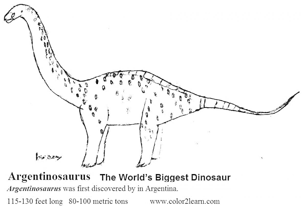 Раскраска Аргентинозавр с описанием и основными характеристиками