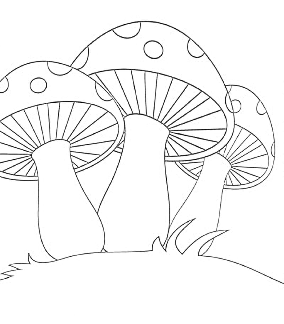 Раскраска Три мухомора на лесной поляне