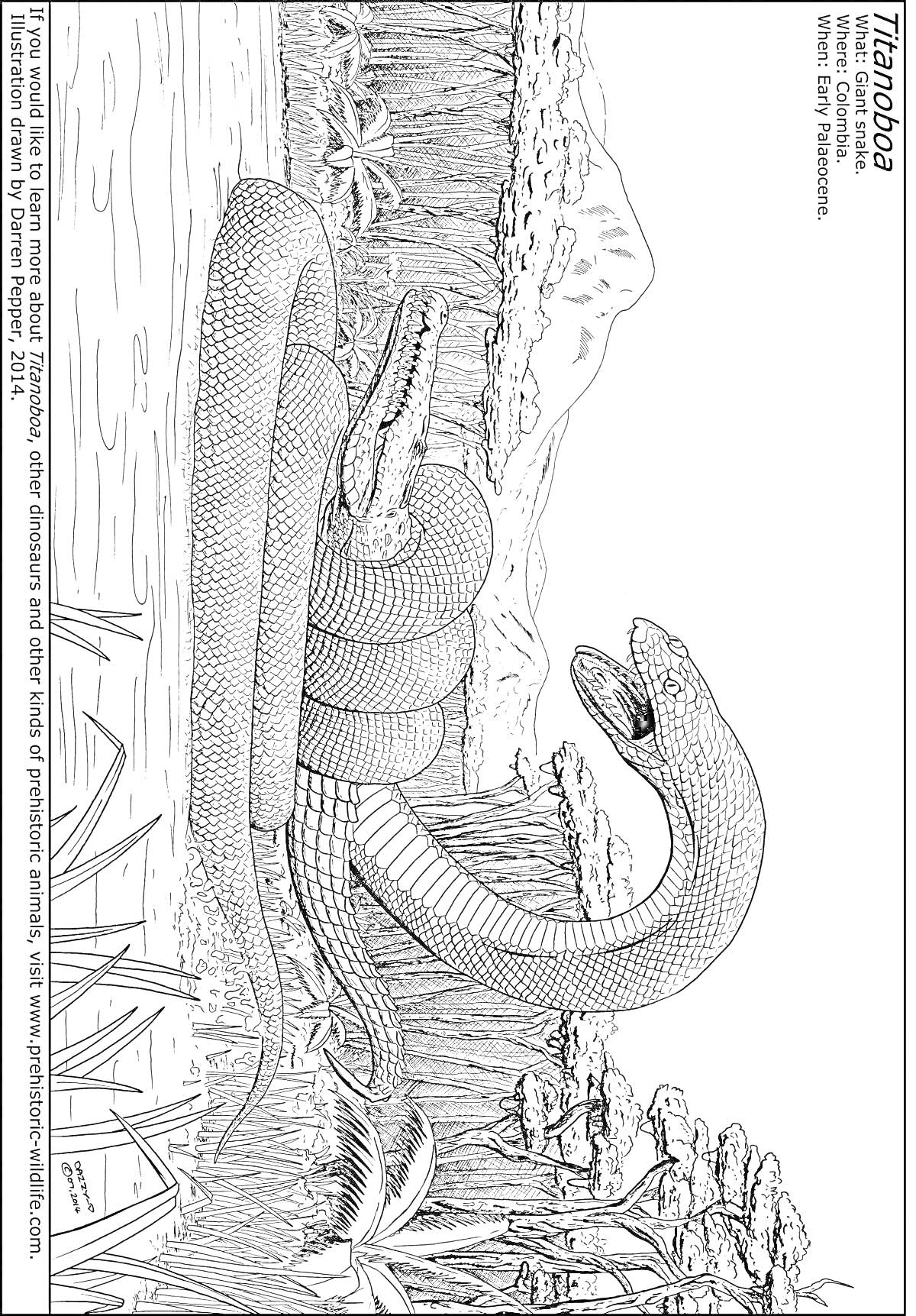 На раскраске изображено: Река, Крокодил, Джунгли, Горы, Природа, Древние времена