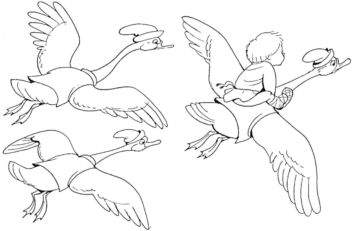 На раскраске изображено: Гуси, Ребёнок, Полет, Из сказок, Крылья, Птица, Лебедь