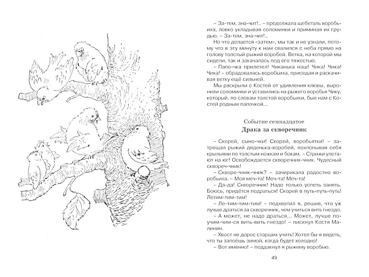 На раскраске изображено: Ветка, Текст, Книга, Иллюстрация, Литература, Воробей