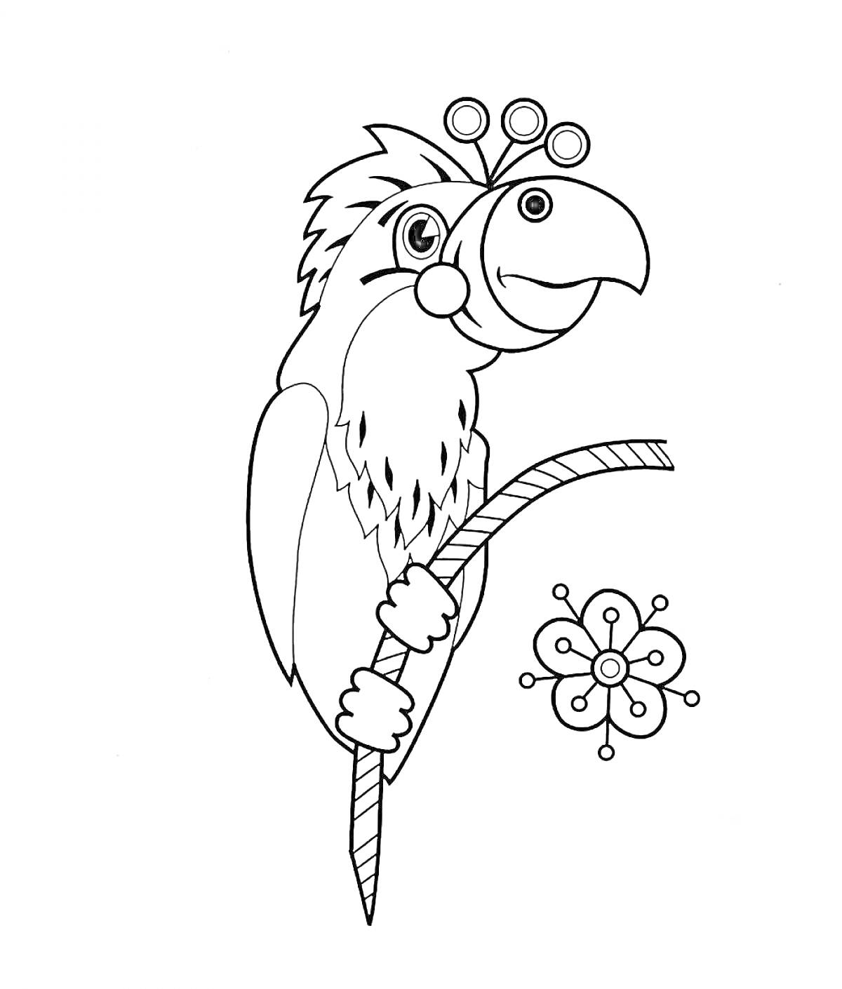 Раскраска Попугай на ветке с цветком