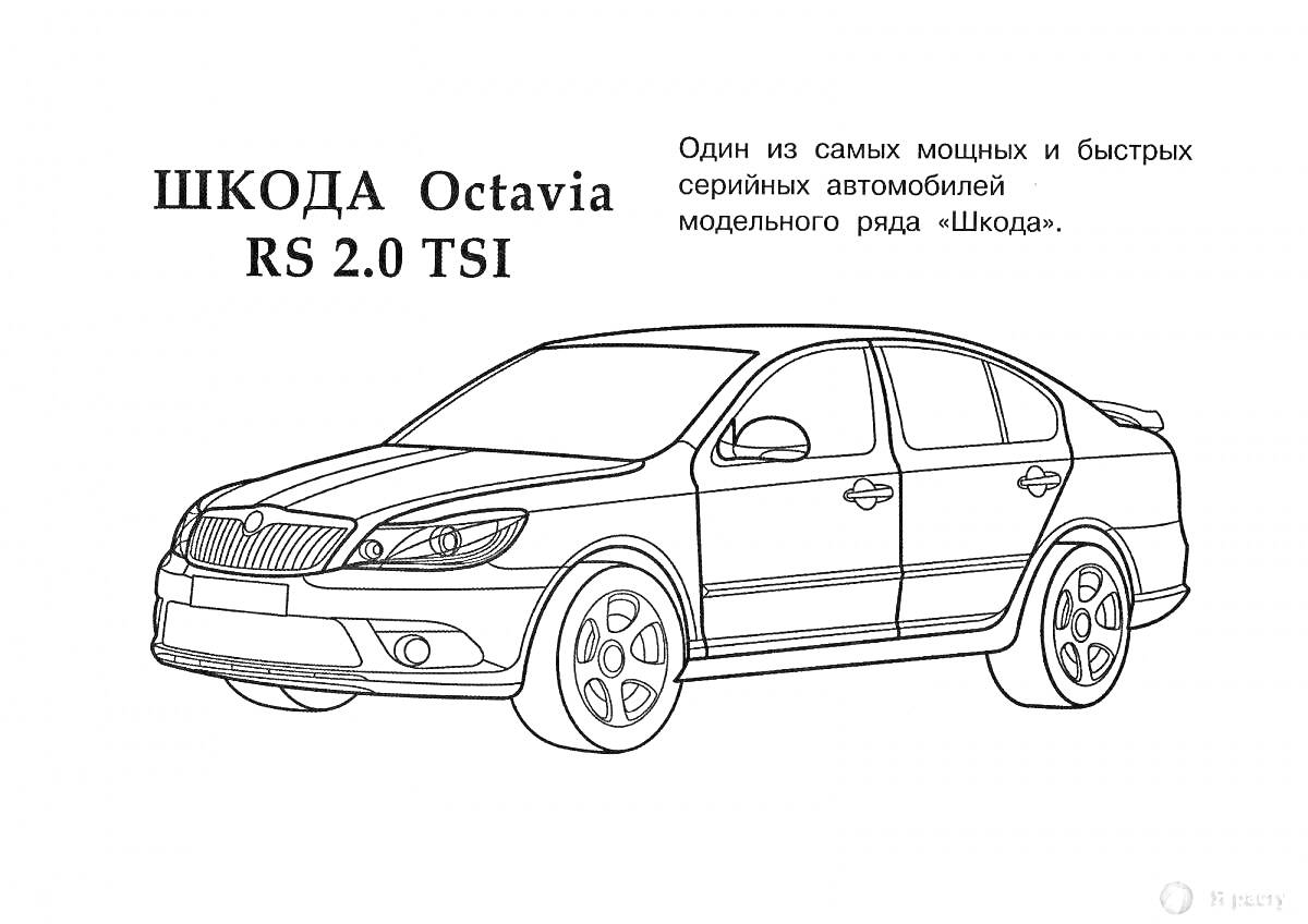 Раскраска Шкода Octavia RS 2.0 TSI, седан, 4 двери, 4 колеса, передняя часть машины, фары, решетка радиатора, боковые зеркала, текст сверху