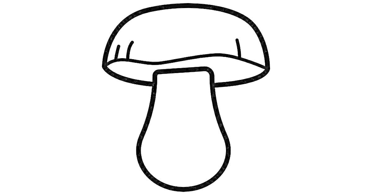 Раскраска Контур гриба с закруглой шляпкой и ножкой