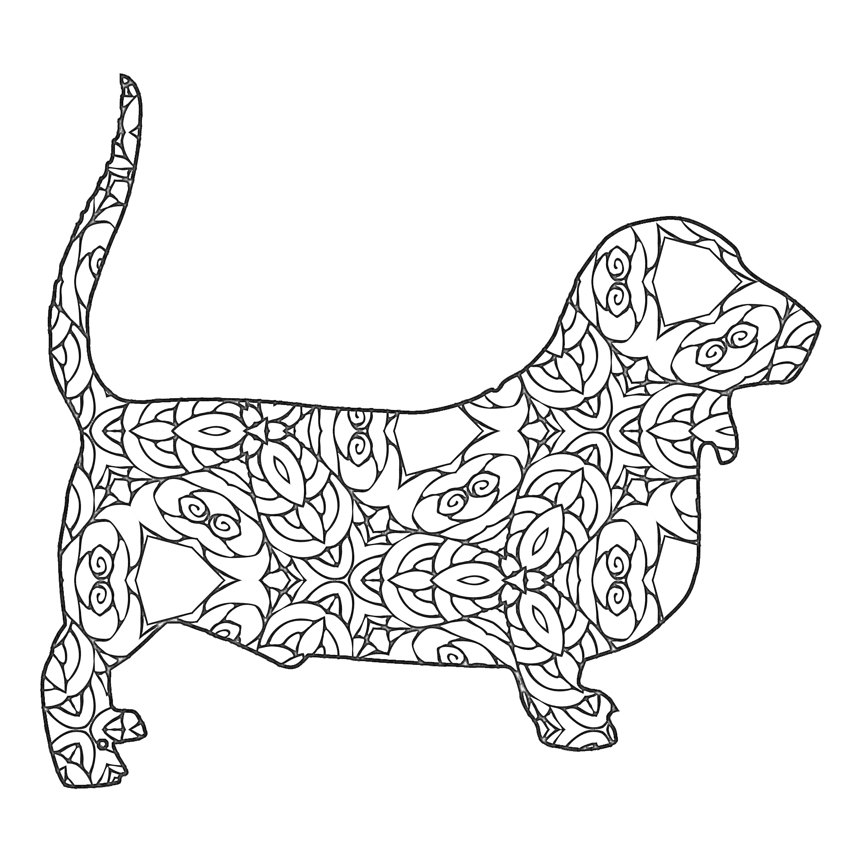 На раскраске изображено: Такса, Антистресс, Собака, Орнамент, Медитация