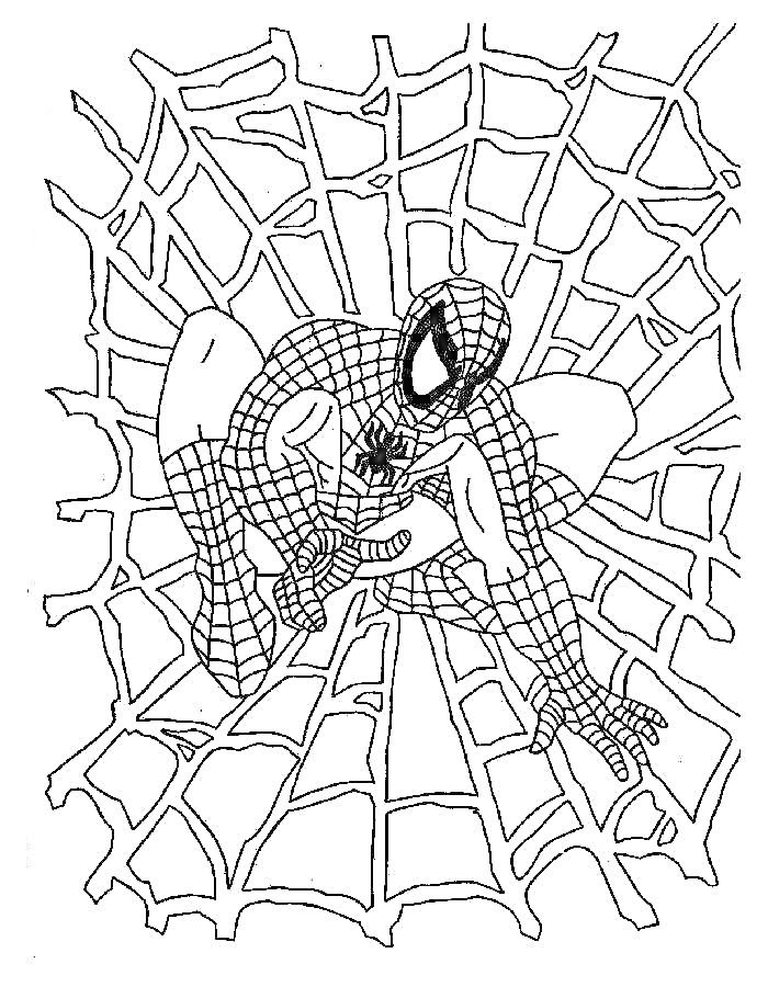 Раскраска Человек-паук на паутине