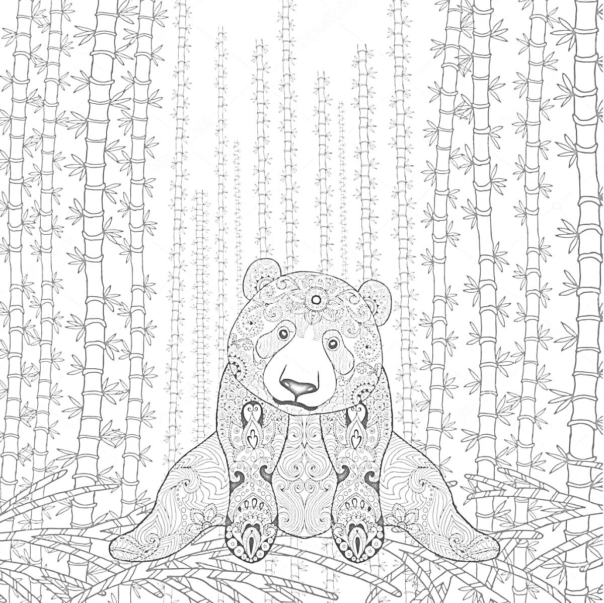 На раскраске изображено: Бамбук, Лес, Узоры, Животные, Природа, Медведь, Панды