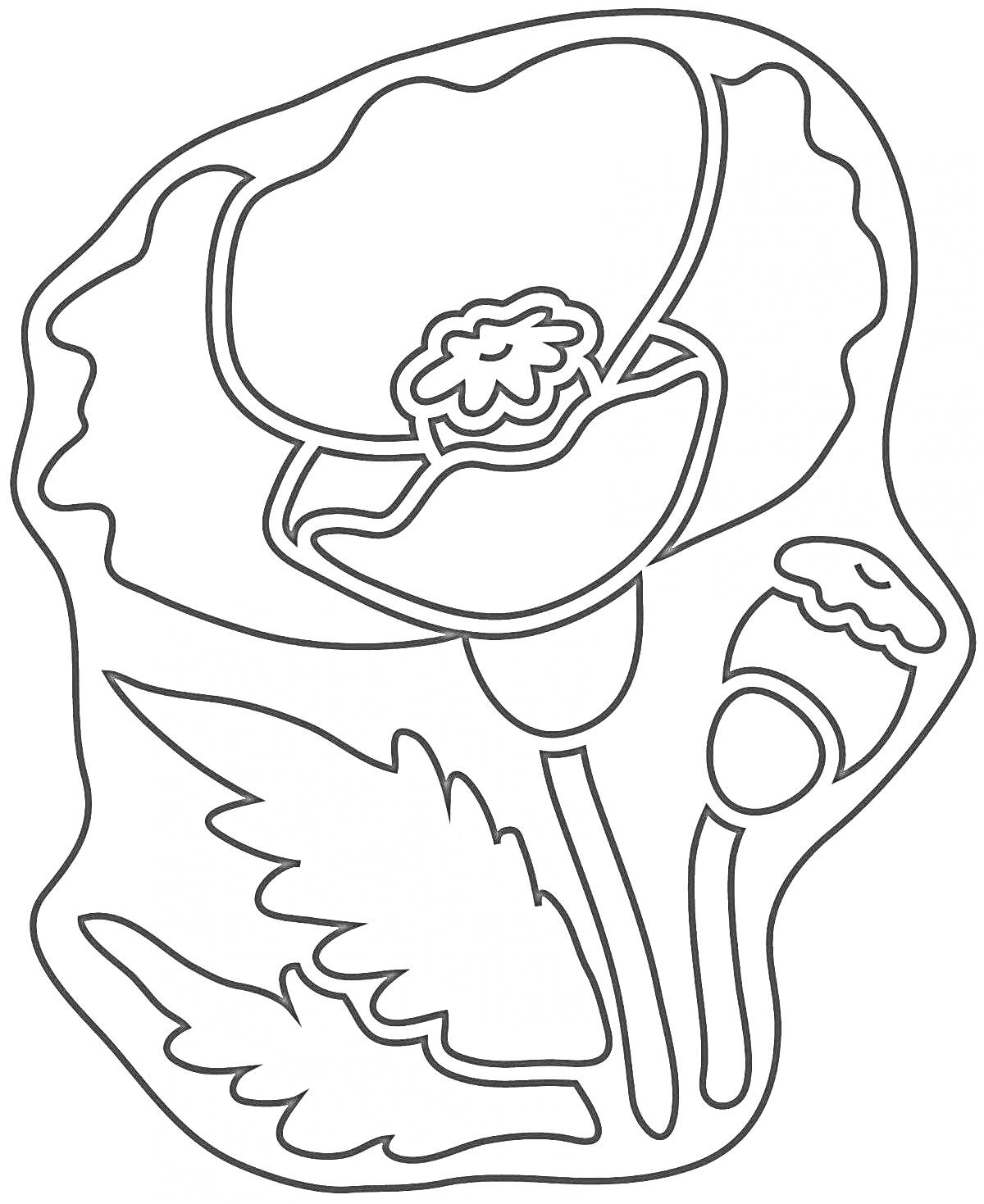 Раскраска Мак с двумя листьями и нераскрывшимся бутоном