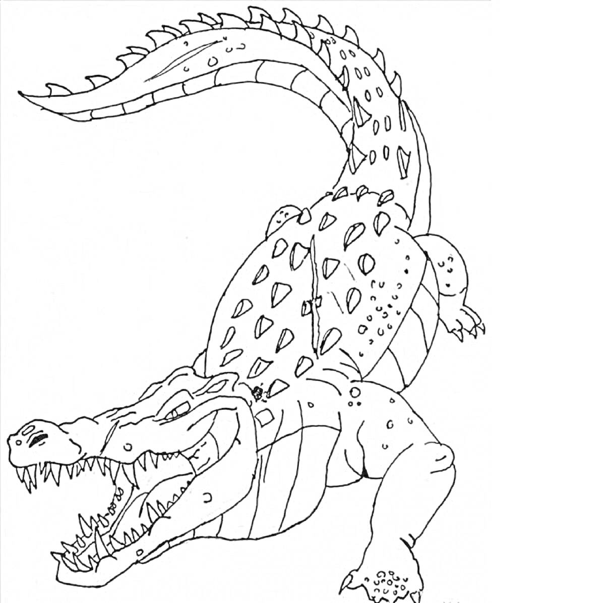 На раскраске изображено: Аллигатор, Монти, Колючки, Пасть, Зубы, Агрессия, Творчество