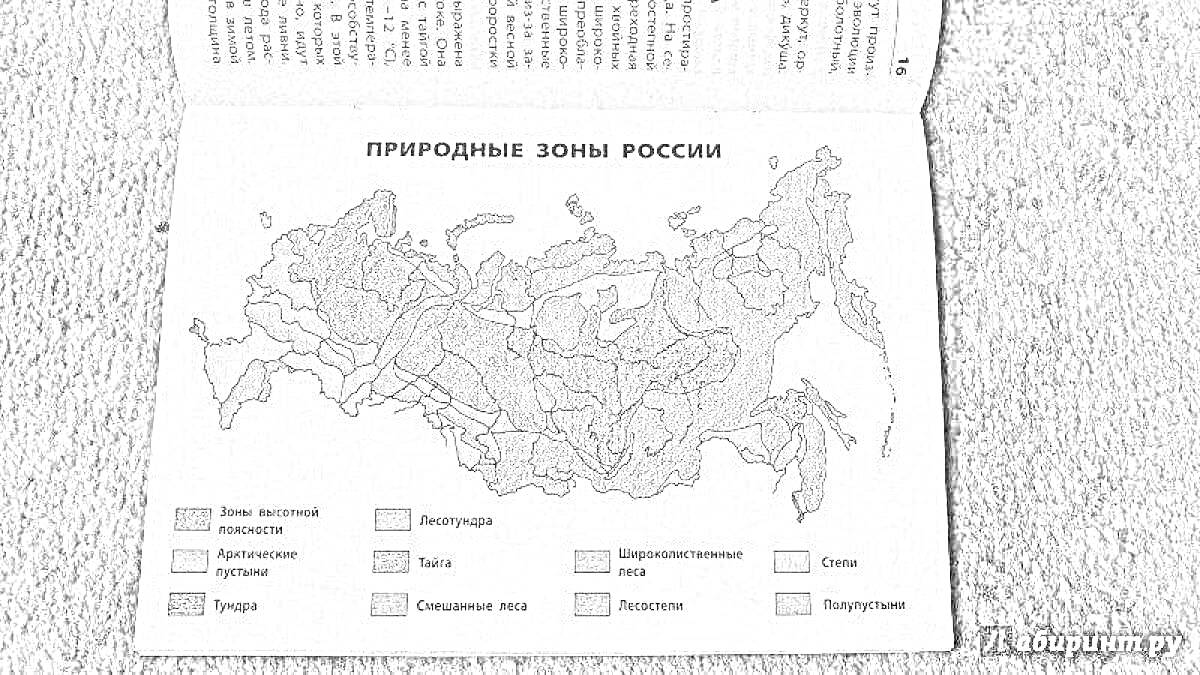 На раскраске изображено: Природные зоны, Карта России, Тайга, Леса, Степи, Тундра, Лесостепи, Полупустыни, География, Учебник, Пустыня