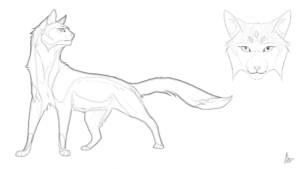 Раскраска кот смотрит вверх с изогнутым хвостом, портрет головы кота