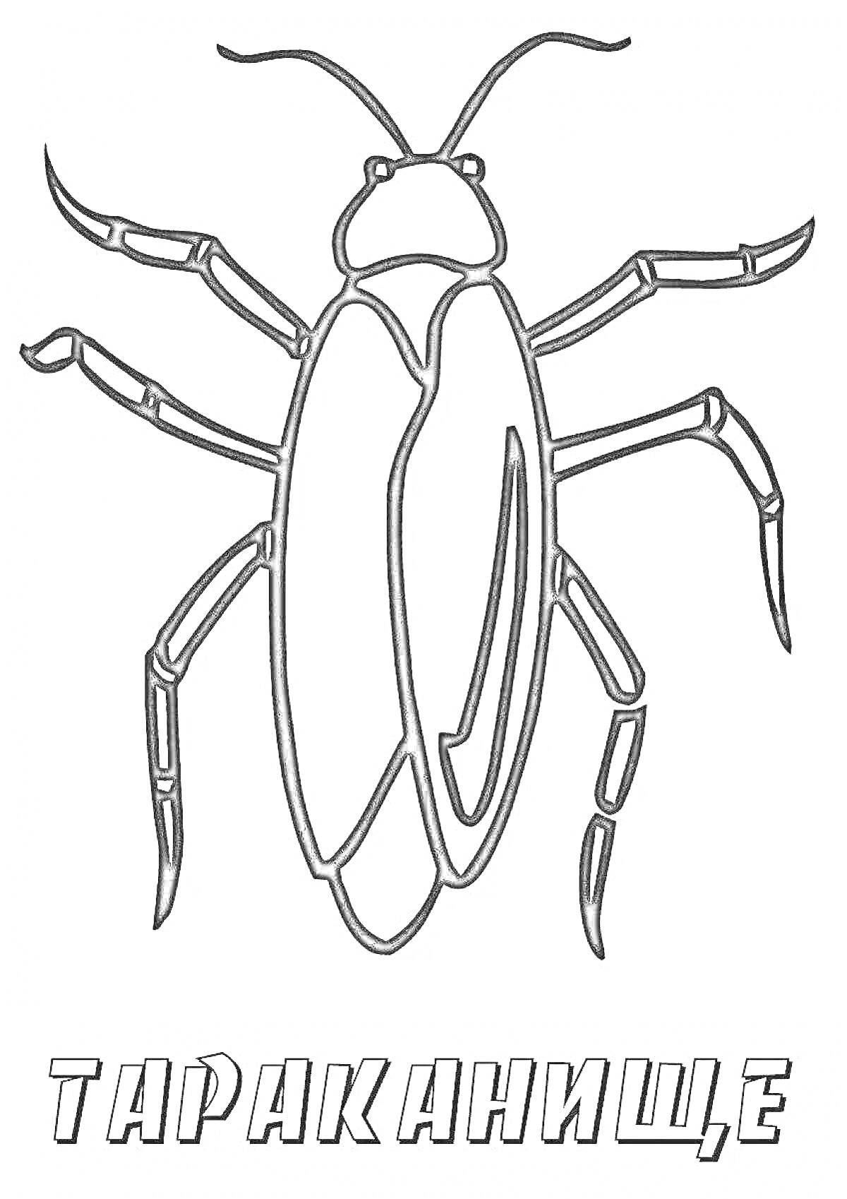 Раскраска Таракан на белом фоне с подписью 