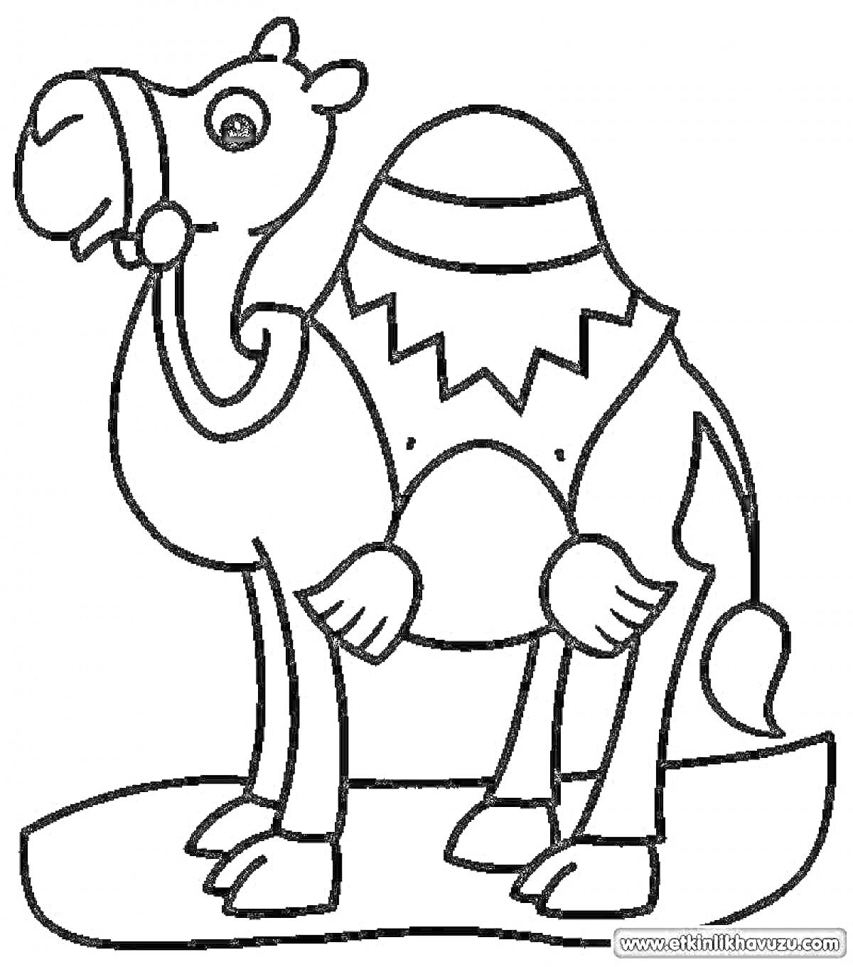 Раскраска Верблюд на песке с покрывалом