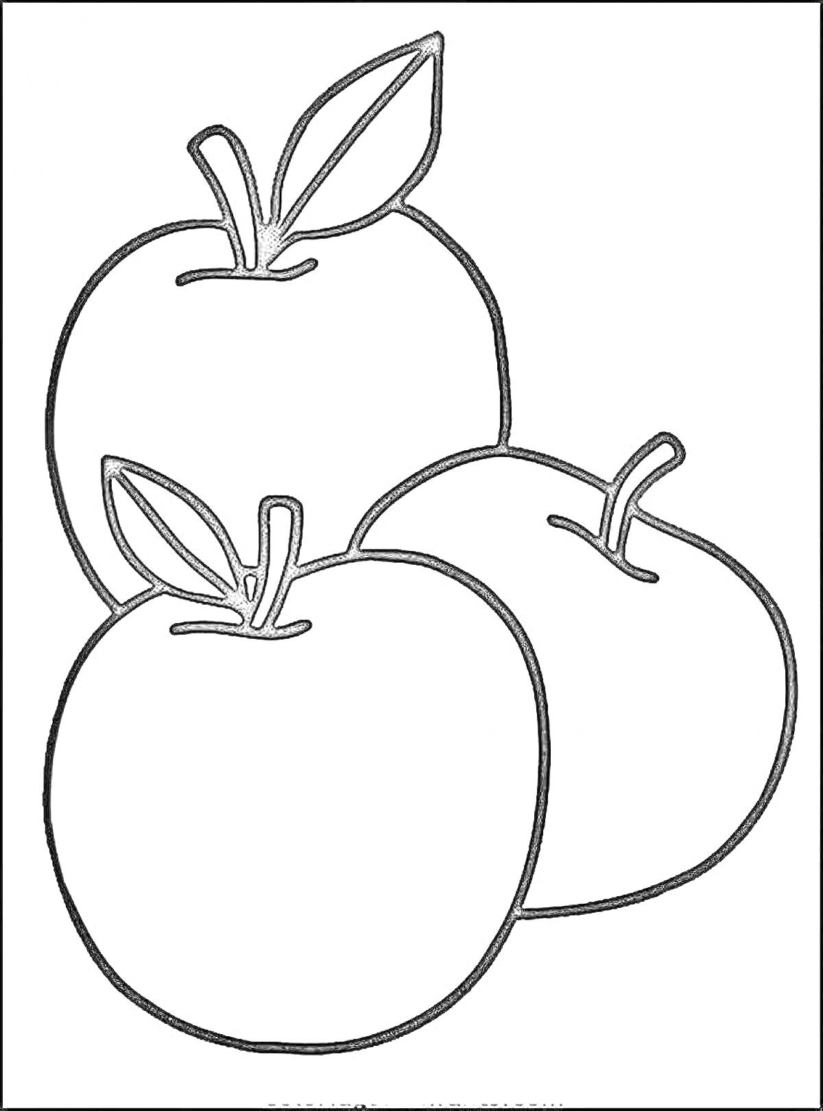 Раскраска Три яблока с листьями