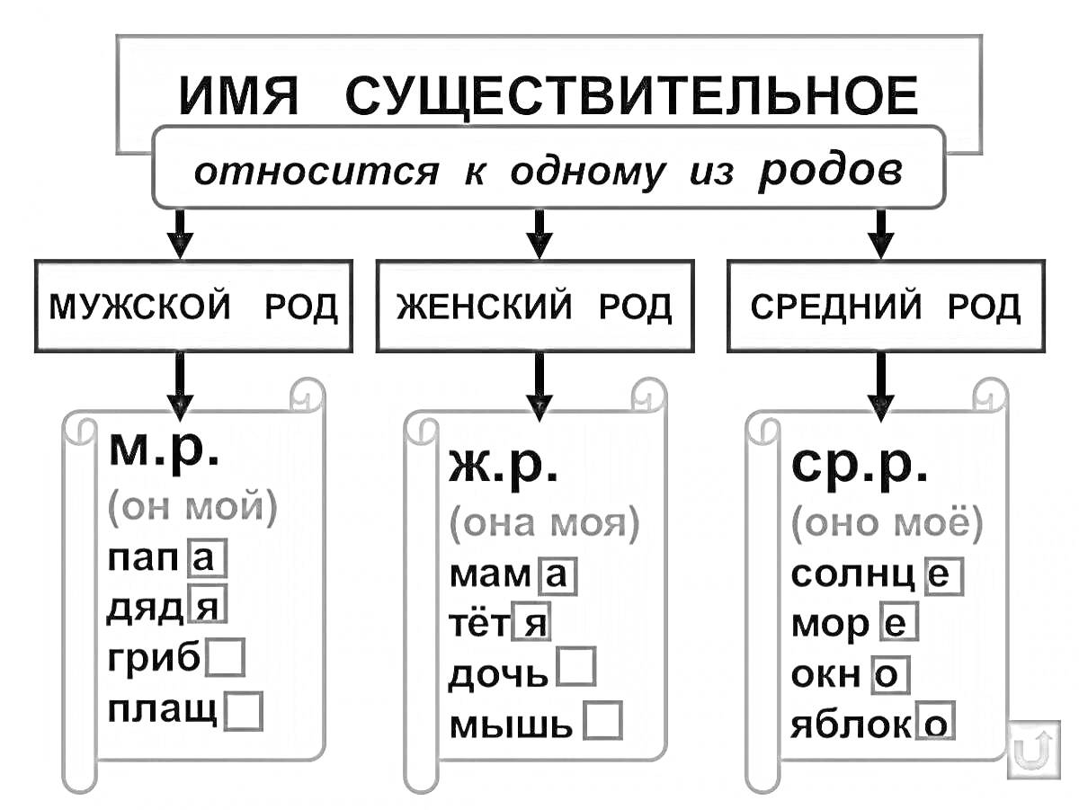 Раскраска имя существительное - мужчина, женщина, средний род, мужской род, женский род, средний род, папа, дядя, гриб, плащ, мама, тётя, дочь, мышь, солнце, море, окно, яблоко