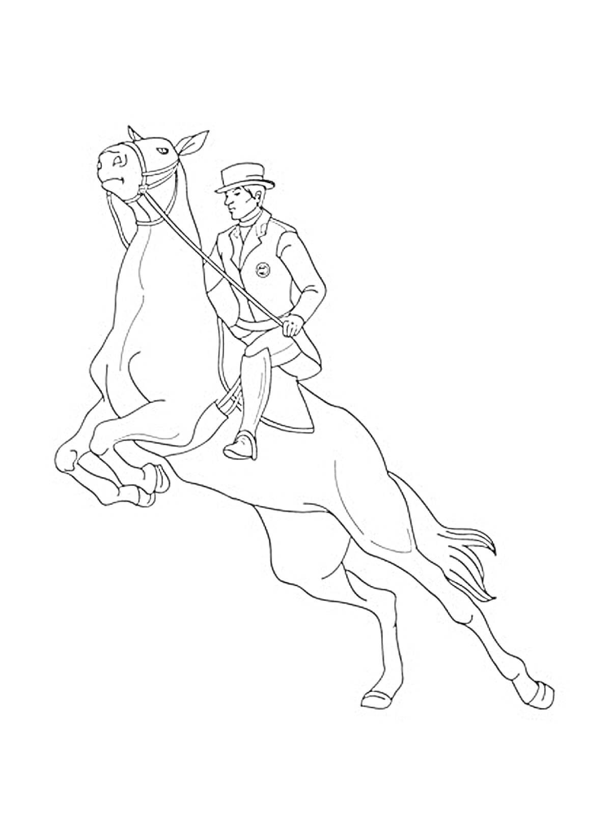 Раскраска Всадник на скачущей лошади в шляпе и костюме