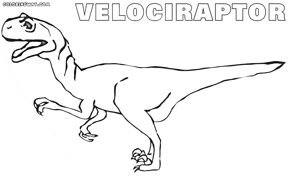 На раскраске изображено: Динозавр, Велоцираптор, Предок, Палеонтология, Юрский период
