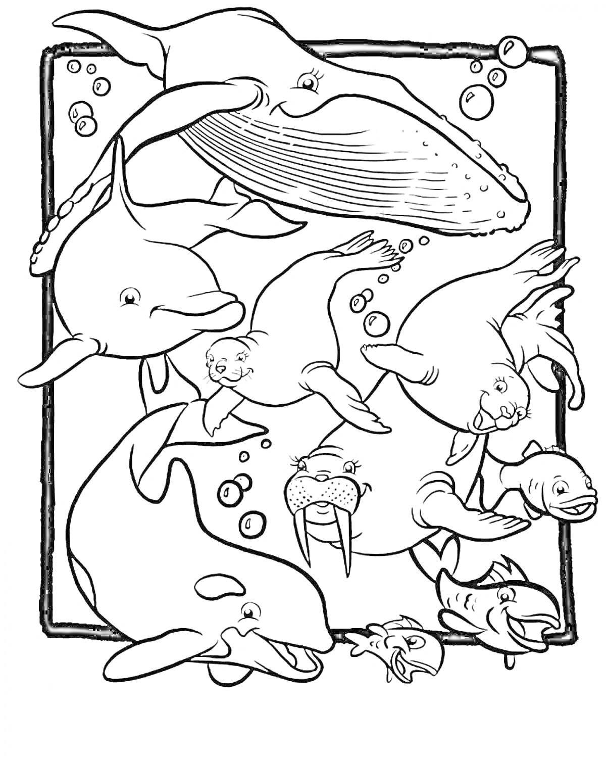 На раскраске изображено: Морские животные, Тюлень, Морж, Пузыри, Рыба, Дельфины, Киты, Океаны