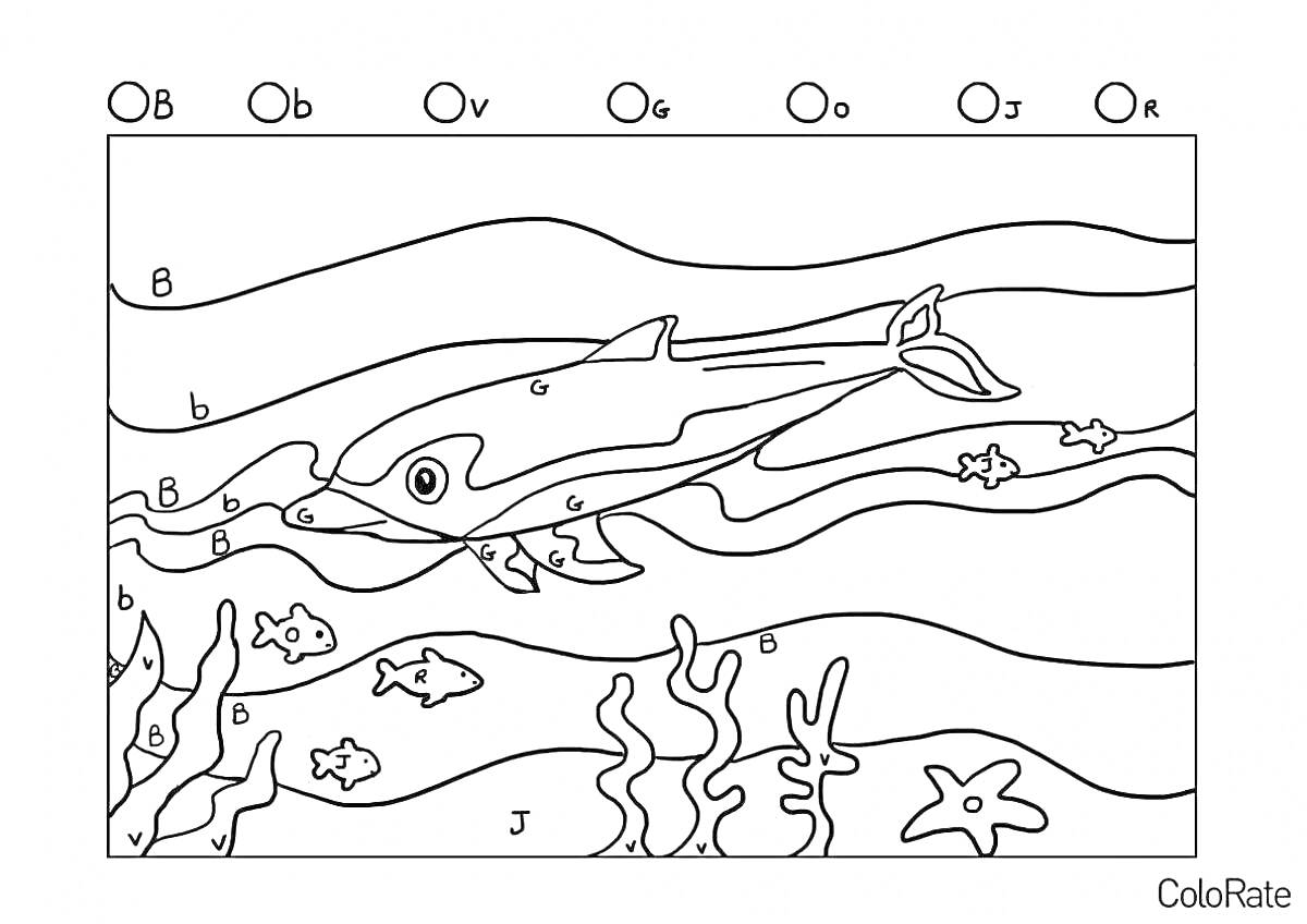 На раскраске изображено: Водоросли, Море, По номерам, Для детей, 5 лет, 6 лет