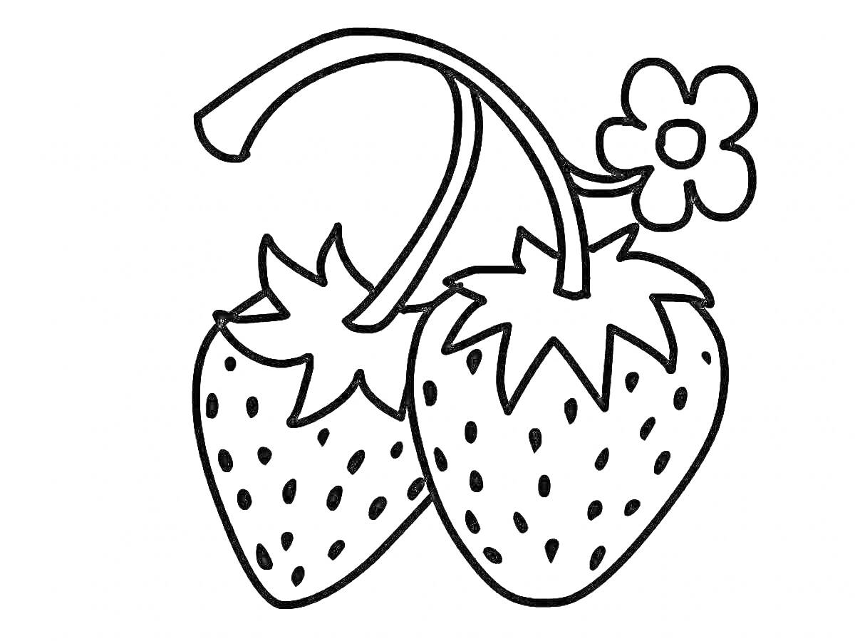 Раскраска Клубника с цветком (две клубники на веточке с цветком)