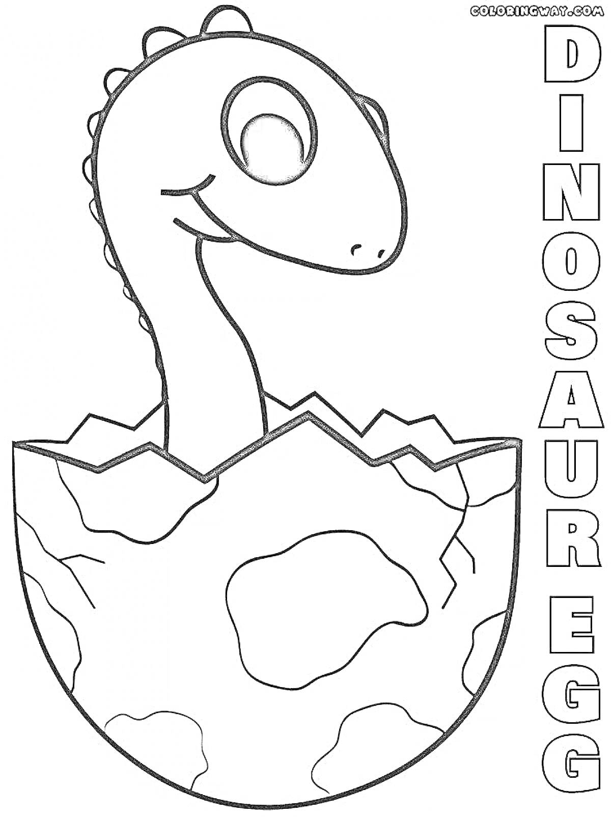 На раскраске изображено: Динозавр, Вылупление