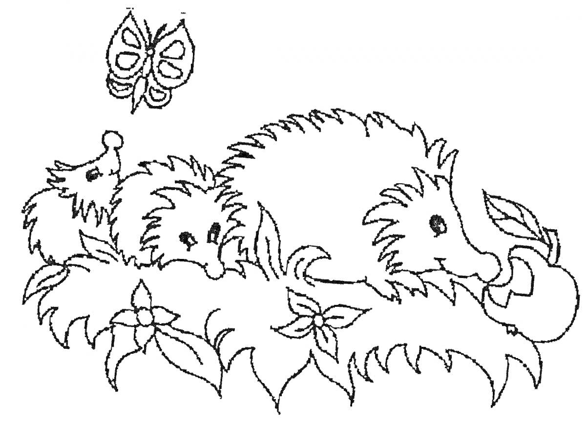 На раскраске изображено: Детеныши, Бабочка, Листья, Цветы, Дикие животные, Природа