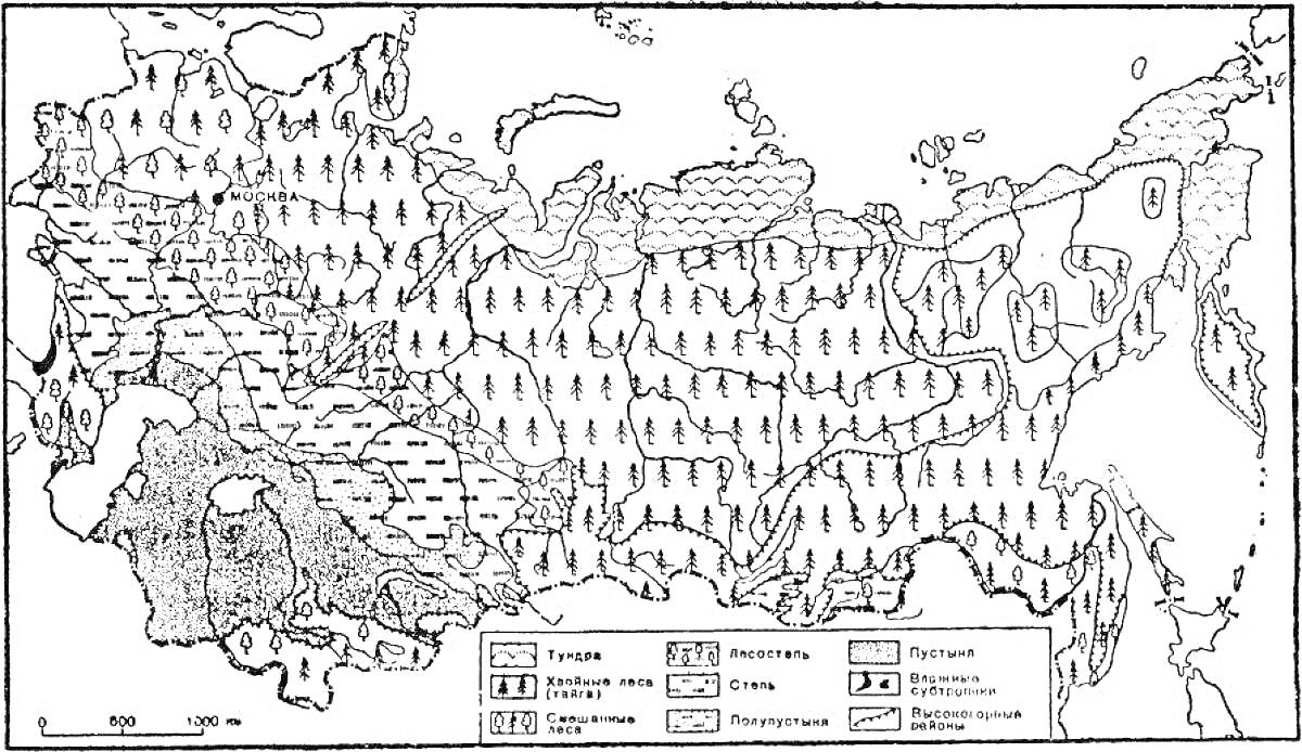 Раскраска Карта природных зон России с обозначением тундры, тайги, лесов, степей, пустынь и полупустынь
