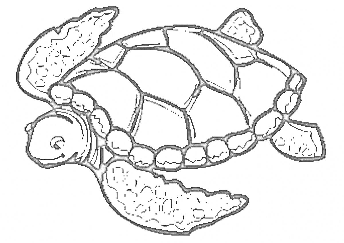 Раскраска Черепаха с узорчатым панцирем и четырьмя плавниками