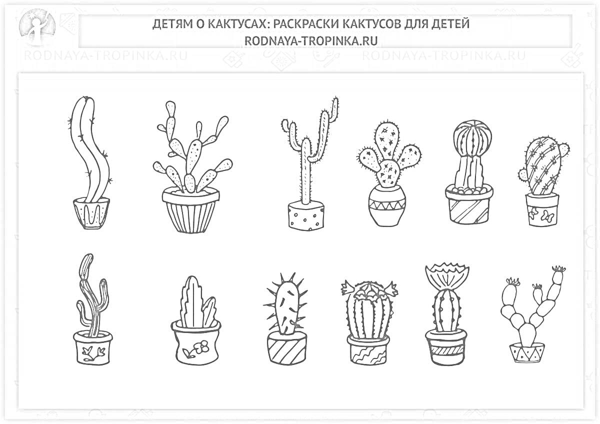 На раскраске изображено: Кактусы, Комнатные растения, Для детей, Растения в горшках, Детское творчество, Ботаника